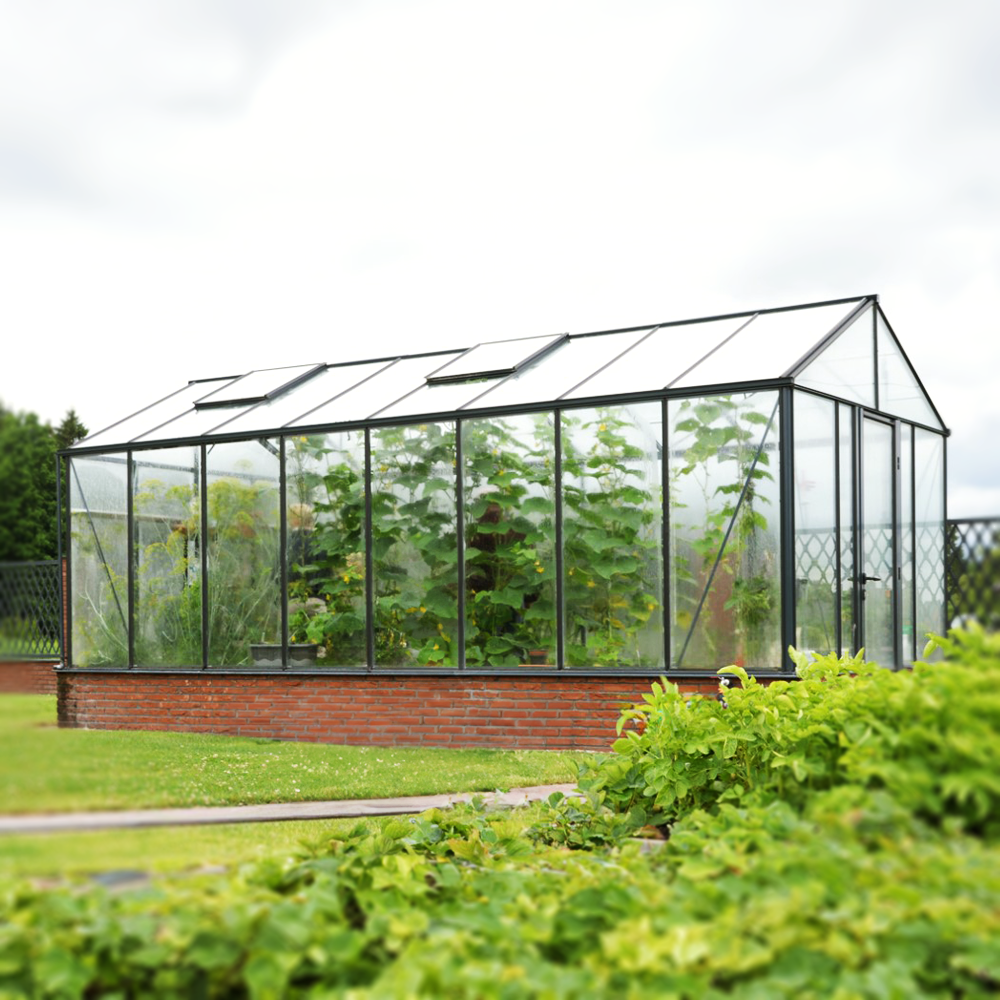 Klassisk drivhus – Entusiast Mur 236